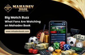 Read more about the article Big Match Buzz: What Fans Are Watching on Mahadev Book